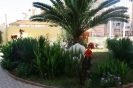  الجامعة الليبية 